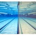 Окуляри для плавання Speedo BIOFUSE 2.0 GOG AF