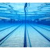 Окуляри для плавання Speedo KIDS SUNNY G S SHLLS 451