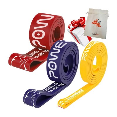PowerPlay PowerPlay PP_0012 Power Band Pack (3*76 kg)