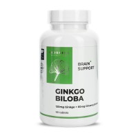 Progress Nutrition Ginkgo Biloba 120 mg (90 tab)