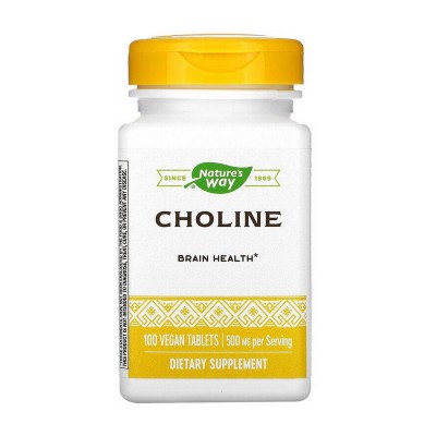 Nature's Way Choline 500 mg (100 veg caps)