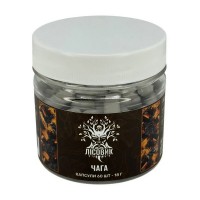 Лісовик Чага (60 caps)