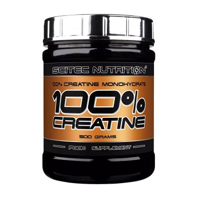 100% Creatine Monohydrate (500 g, unflavored)