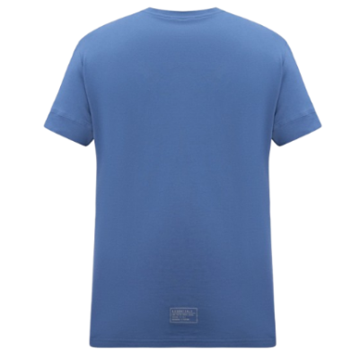 Футболка Arena T-SHIRT LOGO AS (007671-540) розмір S