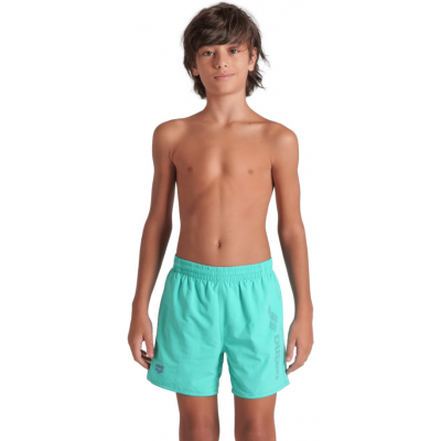 Шорти Arena LOGOTYPE BEACH BOXER (009258-885) розмір 10 Шорти Arena LOGOTYPE BEACH BOXER (009258-885) розмір 10