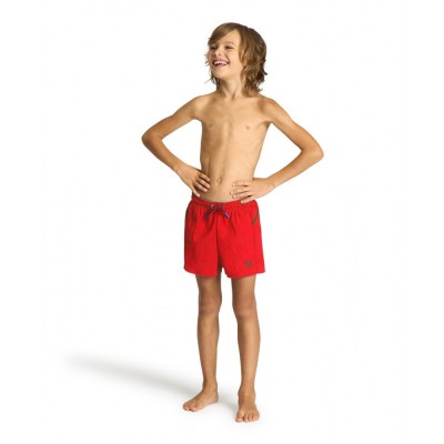 Шорти Arena PRO_FILE BEACH SHORT (006374-480) розмір 8