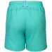 Шорти Arena LOGOTYPE BEACH BOXER (009258-885) розмір 10