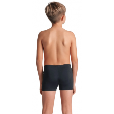 Плавки Arena POSEIDONIA SWIM SHORT (009008-501) розмір 6