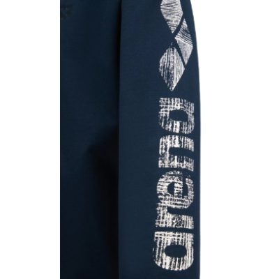 Реглан Arena BRUSHED HOODED F/Z JACKET (007686-700) розмір S