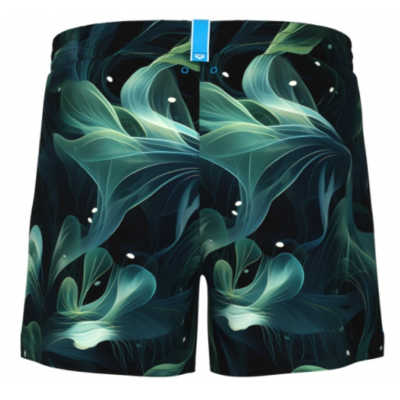 Шорти Arena WATER PRINTS BEACH SHORT AO (007159-630) розмір L