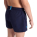 Шорти Arena BEACH SHORT LOGO R (006446-781) розмір 8