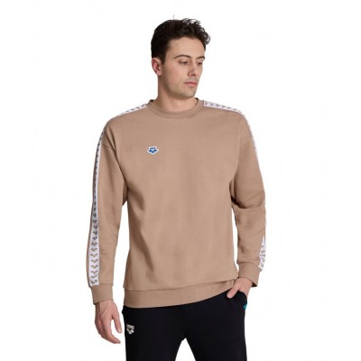 Світшот Arena SWEAT TEAM OVERSIZE (002304-210) розмір XL