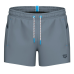 Чоловічі плавальні шорти Arena PRO_FILE BEACH X-SHORT (007138-550) розмір S