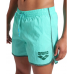 Шорти Arena BIG LOGO BORDERS BEACH SHORT (009103-863) розмір S