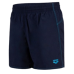 Шорти Arena BYWAYX R (006442-780) розмір L