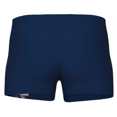 Чоловічі плавки Arena DREAMHLINE SWIM SHORT (008334-755) розмір 110
