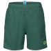 Шорти Arena BEACH BOXER SOLID R (006447-661) розмір 6