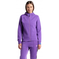 Худі Arena TEAM HOODED JACKET PANEL (004895-959) розмір XS