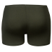 Плавки Arena POSEIDONIA SWIM SHORT (009008-306) розмір 6