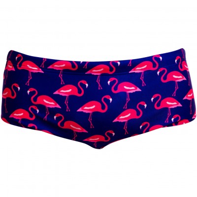 Чоловічі плавки Funky Trunks Men's Sidewinder Trunks Flocked Up (FTS015M72303) розмір 36 фіолетові