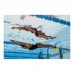Ласти для тренуваня брасом Finis Positive Drive Fin (2.35.100) M (36-37) жовті