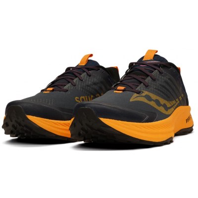 Кросівки для бігу Saucony RIDE TR2 GTX (S20953-251) розмір 10