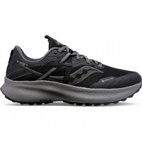 Кросівки для бігу Saucony RIDE 15 TR GTX (S10799-10) розмір 7