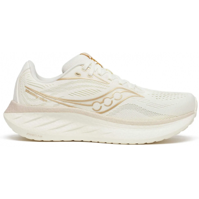 Кросівки для бігу Saucony RIDE 18 (S11000-104) розмір 7
